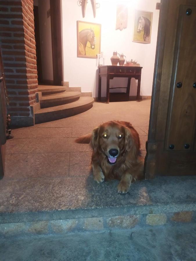 Casa Rural La Picota Valverde de la Vera Екстериор снимка